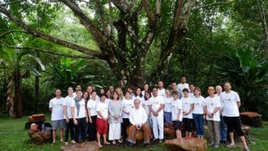 TB 1 English – Forest Island, 2 – 8 December 2018