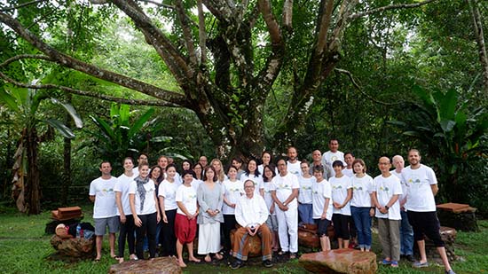 TB 1 English – Forest Island, 2 – 8 December 2018