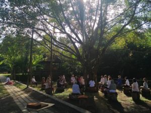 Photos of TB 1 English (767) Forest Island, 13 – 19 May 2018