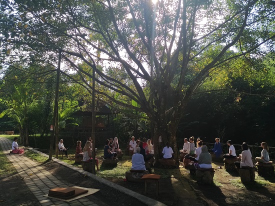 Photos of TB 1 English (767) Forest Island, 13 – 19 May 2018
