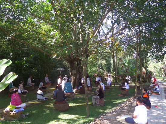Photos of TB 1 English – Forest Island, 20 – 26 August 2017