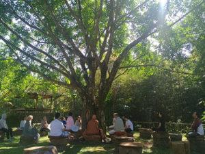 TB 3 English – Forest Island, 18-29 September 2018